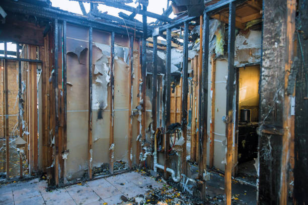 Professional Odor Removal technician working in Medford, NJ