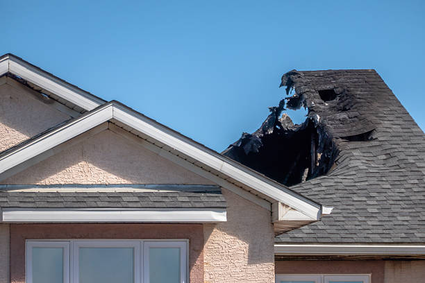 Top rated local Odor Removal specialists in Medford, NJ